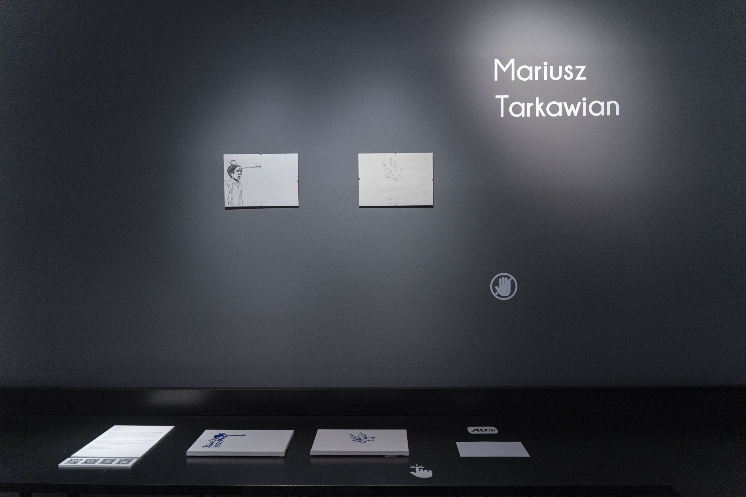 Accessible Collection Vol. 3