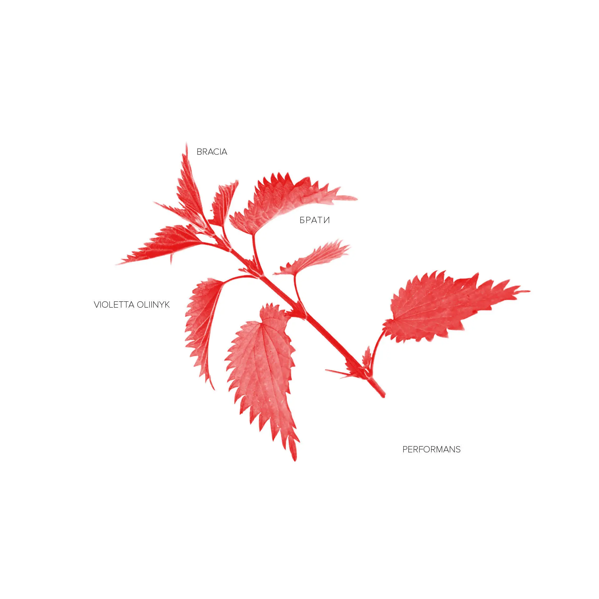 BRACIA / БРАТИ <b data-src-img=